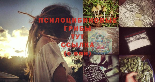 соль курить ск Белокуриха