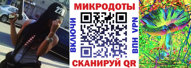 Купить где  Новоржев  Псилоцибиновые грибы Psilocybine cubensis 